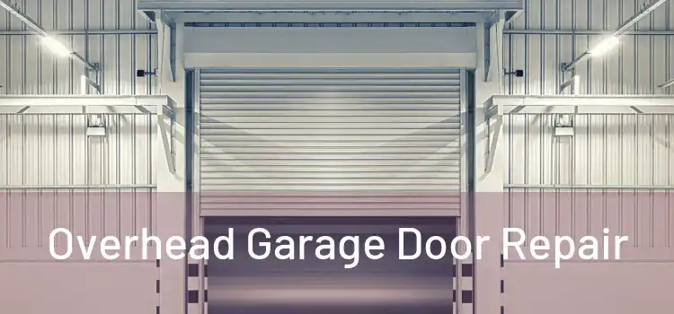  Overhead Garage Door Repair 